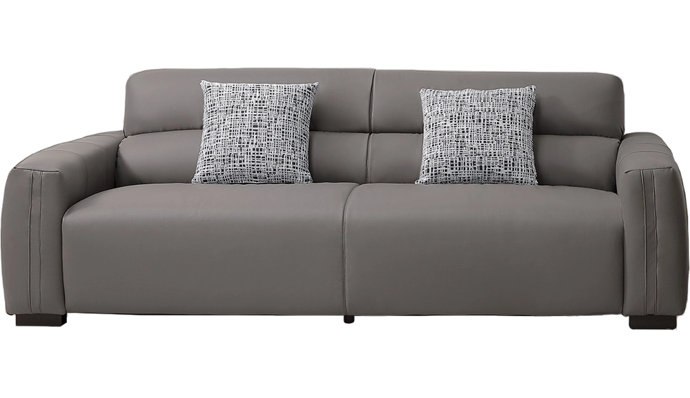 傑克貓抓皮沙發