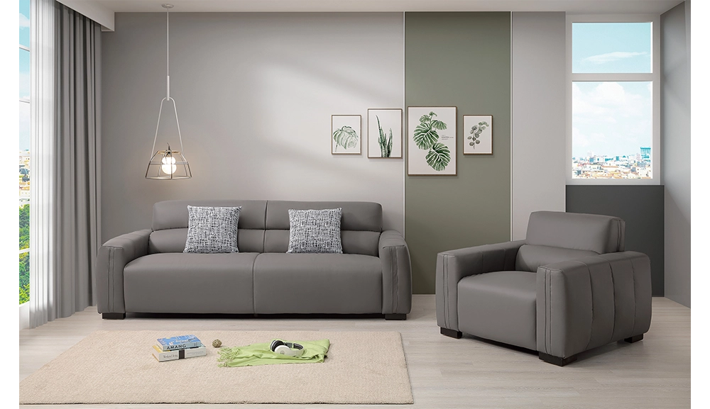 傑克貓抓皮沙發