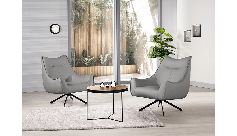 艾利安休閒椅(灰色皮)